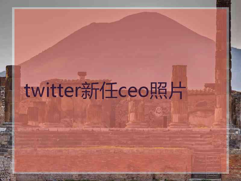 twitter新任ceo照片