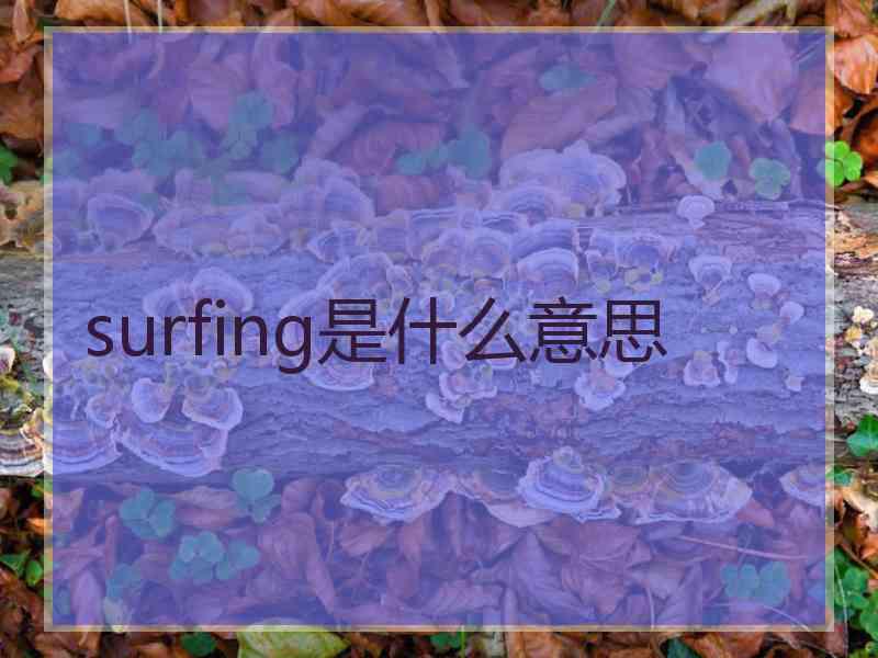 surfing是什么意思