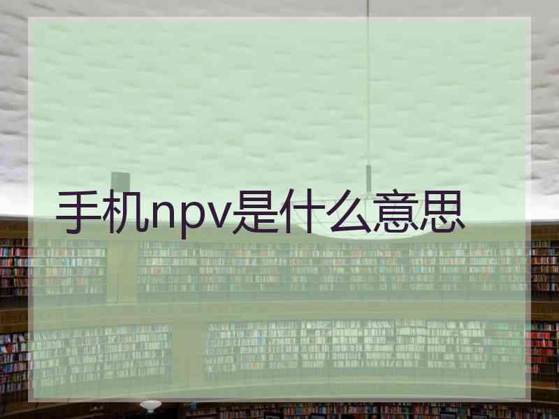 手机npv是什么意思