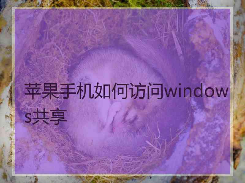 苹果手机如何访问windows共享