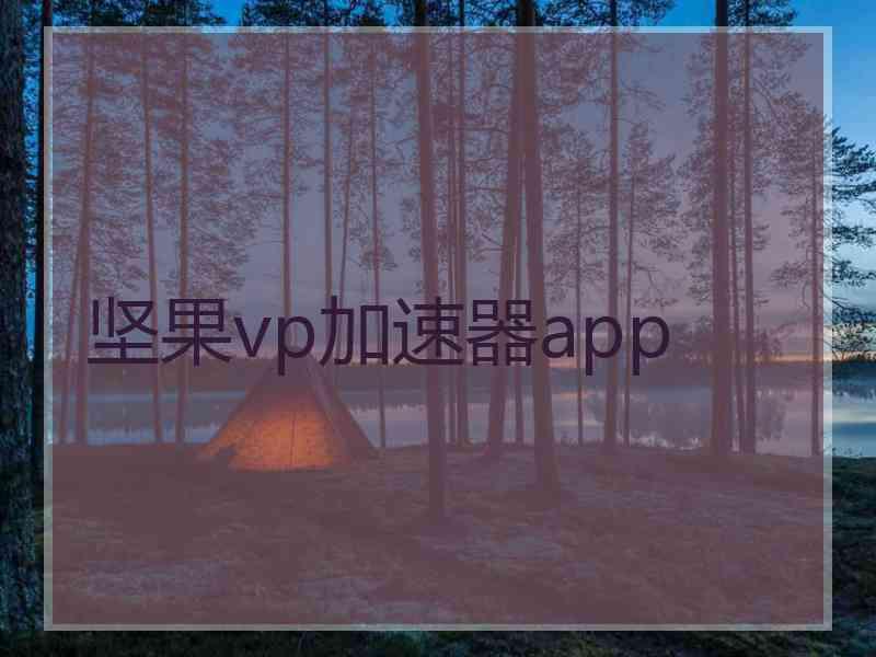 坚果vp加速器app