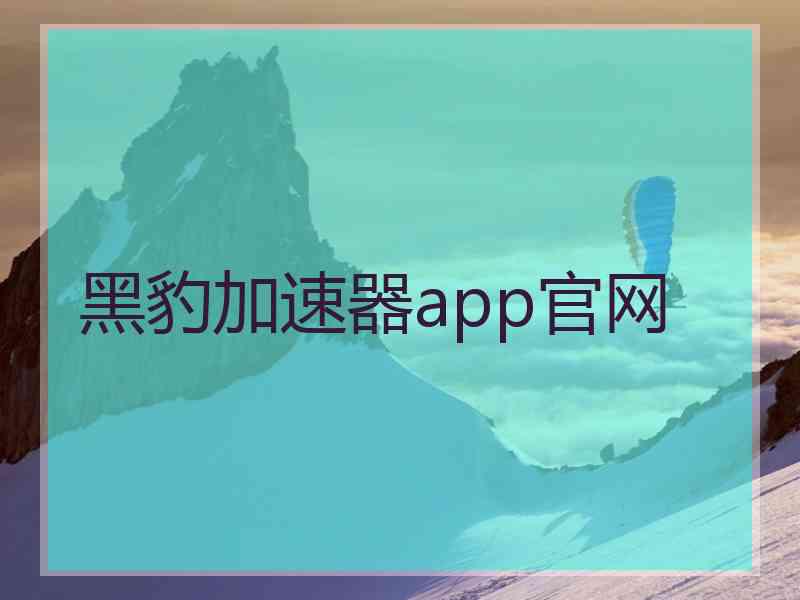 黑豹加速器app官网