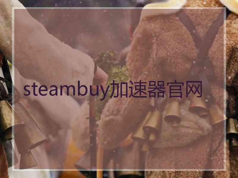 steambuy加速器官网