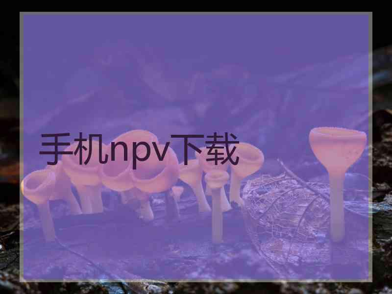 手机npv下载