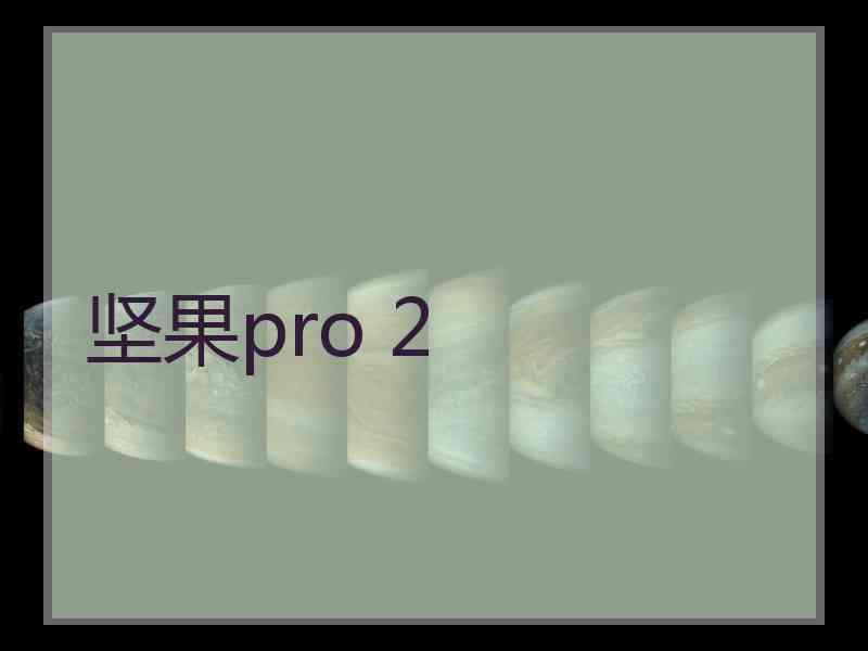 坚果pro 2