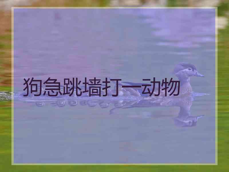 狗急跳墙打一动物