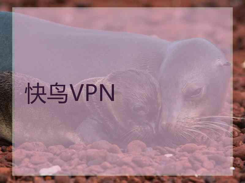 快鸟VPN